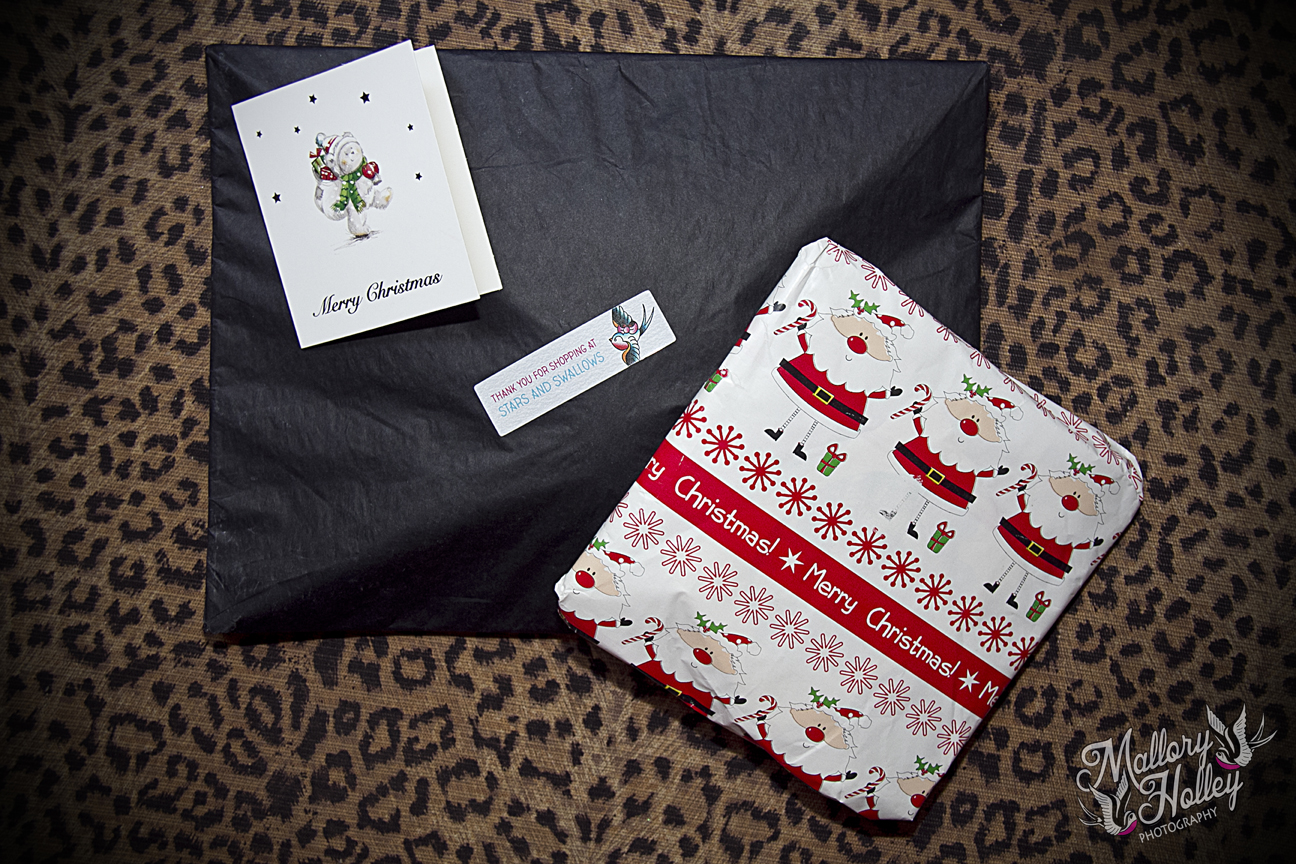 Stars and Swallows Parcel_4524