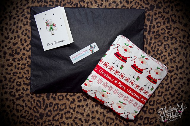 Stars and Swallows Parcel_4524