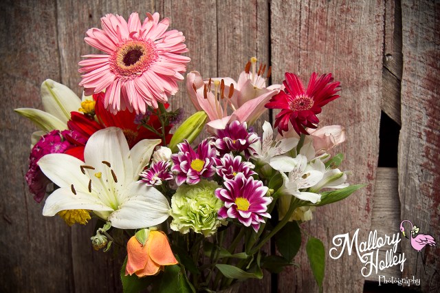 Birthday flowers from Denise captured by Mallory Holley Photography