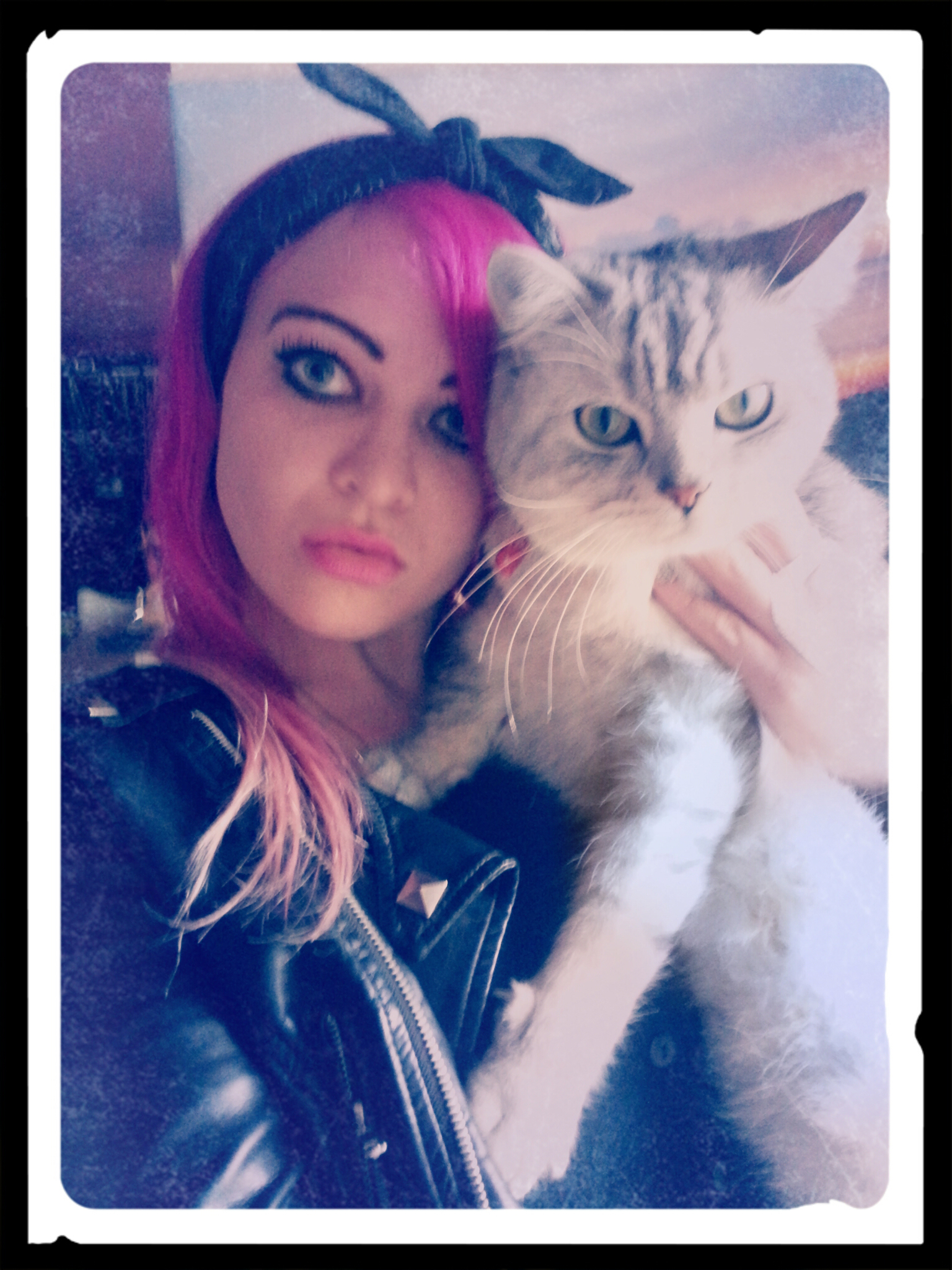 I am now looking after Enzo for my best friend, Denise.