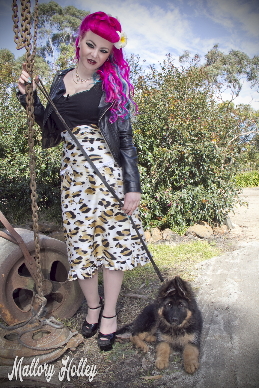 Dress Me Gorgeous Pinup Dress Review German Shepherd Puppy_0114