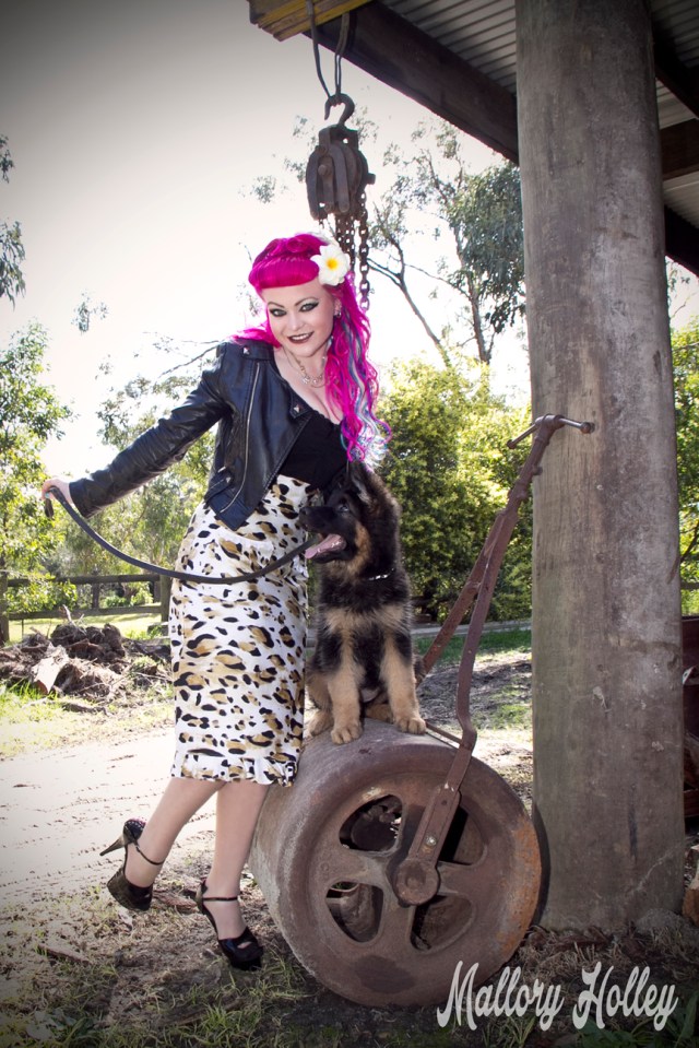 Dress Me Gorgeous Pinup Dress Review German Shepherd Puppy_0128.