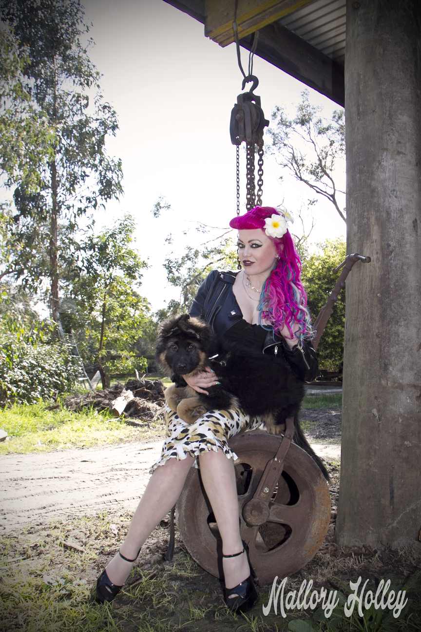 Dress Me Gorgeous Pinup Dress Review German Shepherd Puppy_0159.