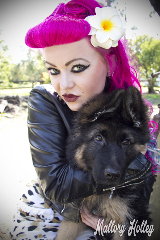 Dress Me Gorgeous Pinup Dress Review German Shepherd Puppy_0165.