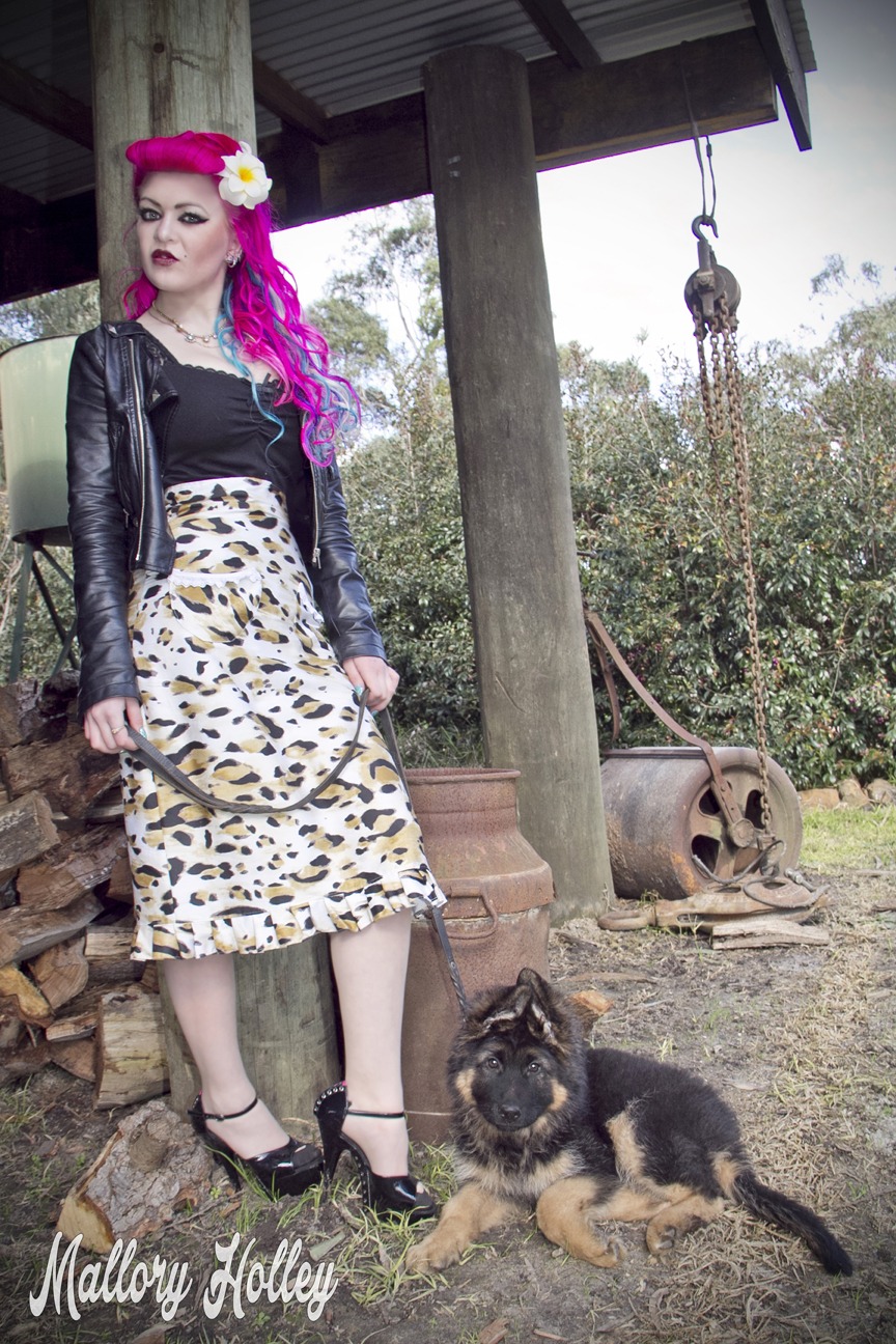 Dress Me Gorgeous Pinup Dress Review German Shepherd Puppy_0186.