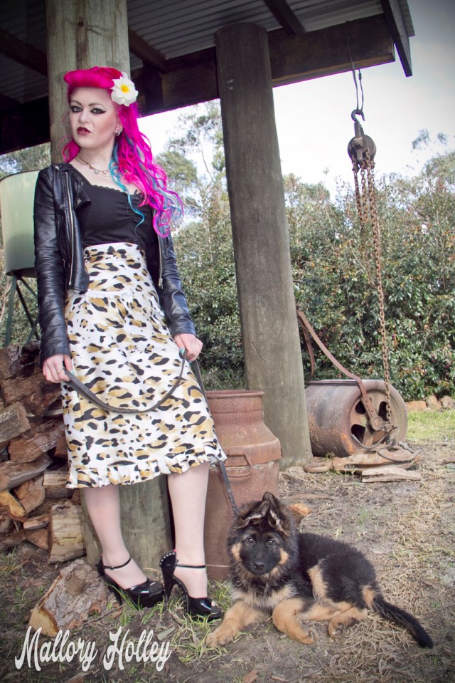 Dress Me Gorgeous Pinup Dress Review German Shepherd Puppy_0186.