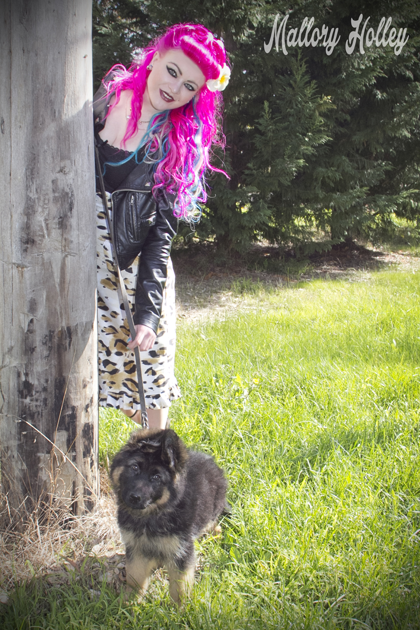 Dress Me Gorgeous Pinup Dress Review German Shepherd Puppy_0214.