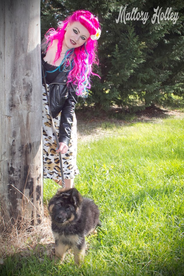 Dress Me Gorgeous Pinup Dress Review German Shepherd Puppy_0214.