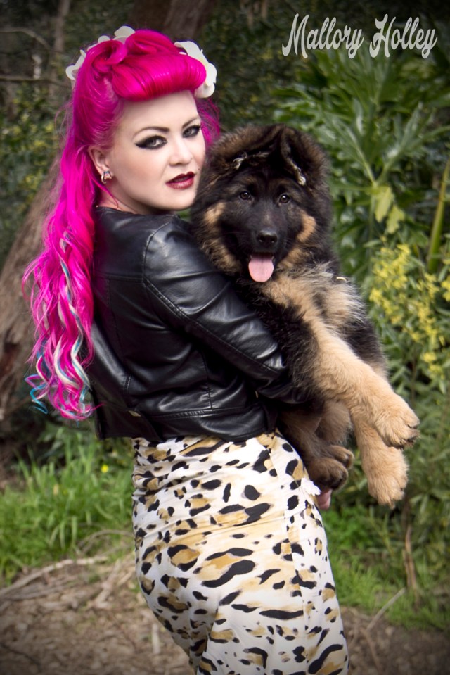 Dress Me Gorgeous Pinup Dress Review German Shepherd Puppy_0291.