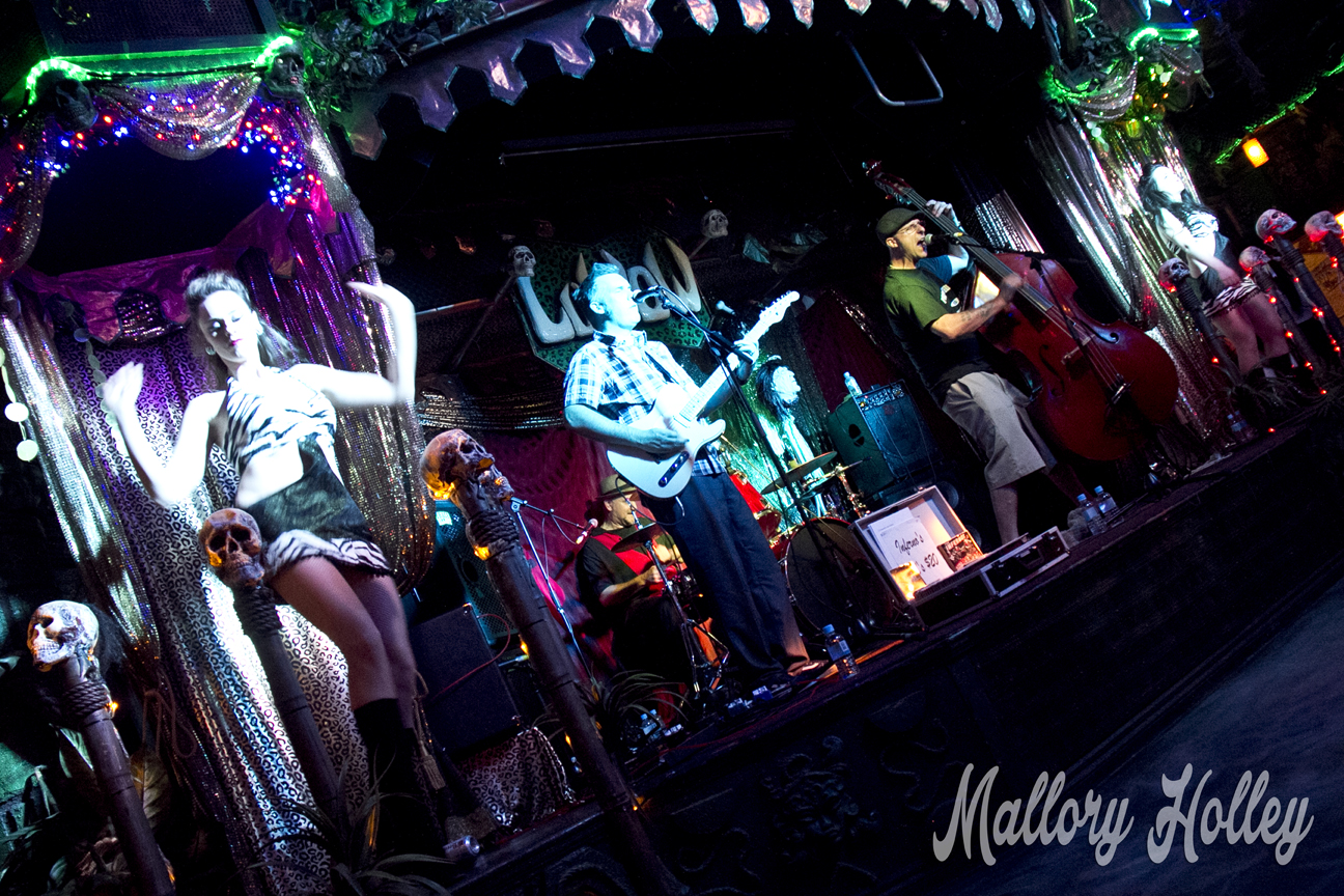 Rockabilly trio, The Infernos with the lovely Go-Go girls dancing to add an extra spark to the performance.