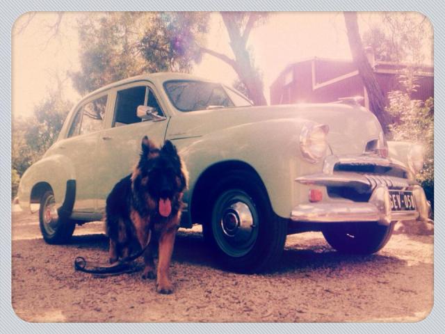 My FJ Holden, new studio and Dodge.