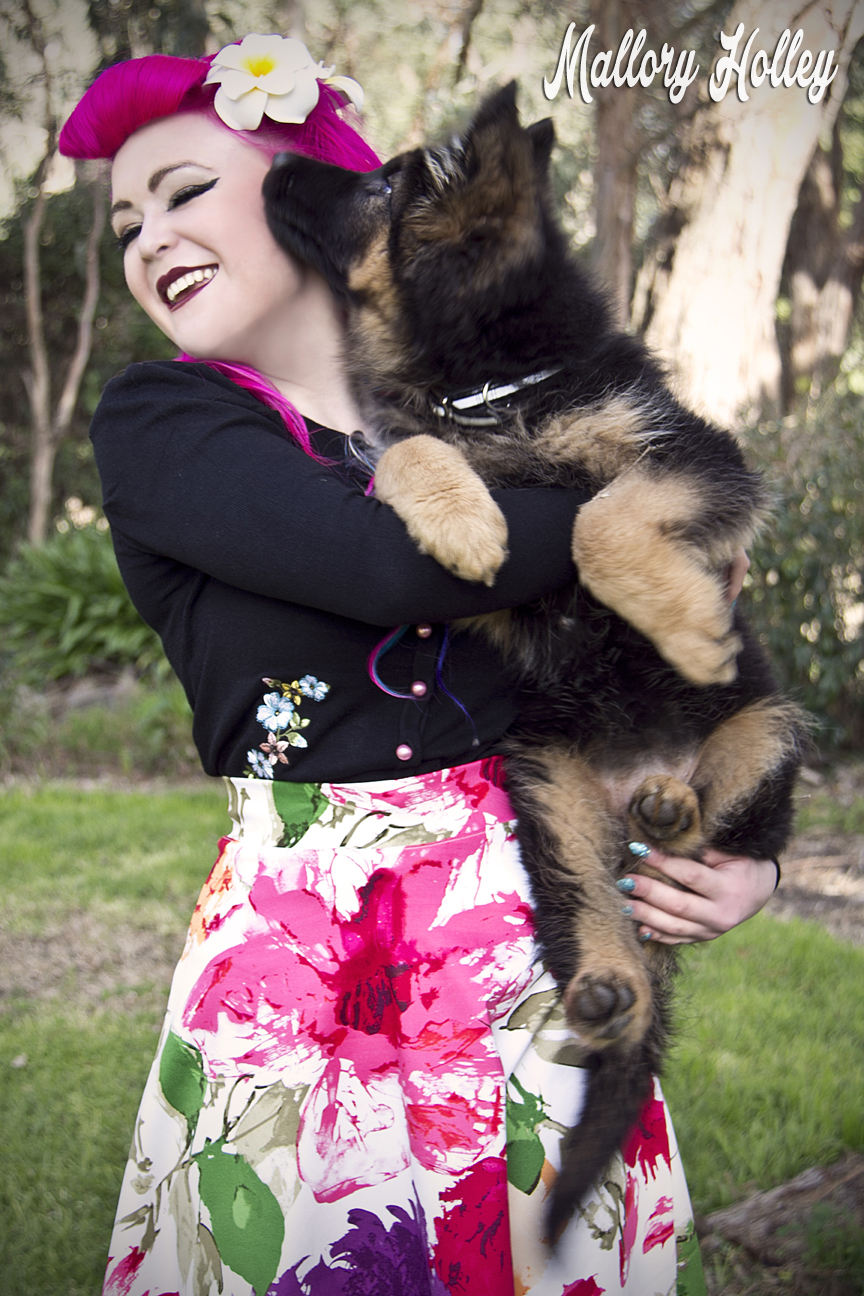Printed pinup skirt by Dress Me Gorgeous and German Shepherd Puppy