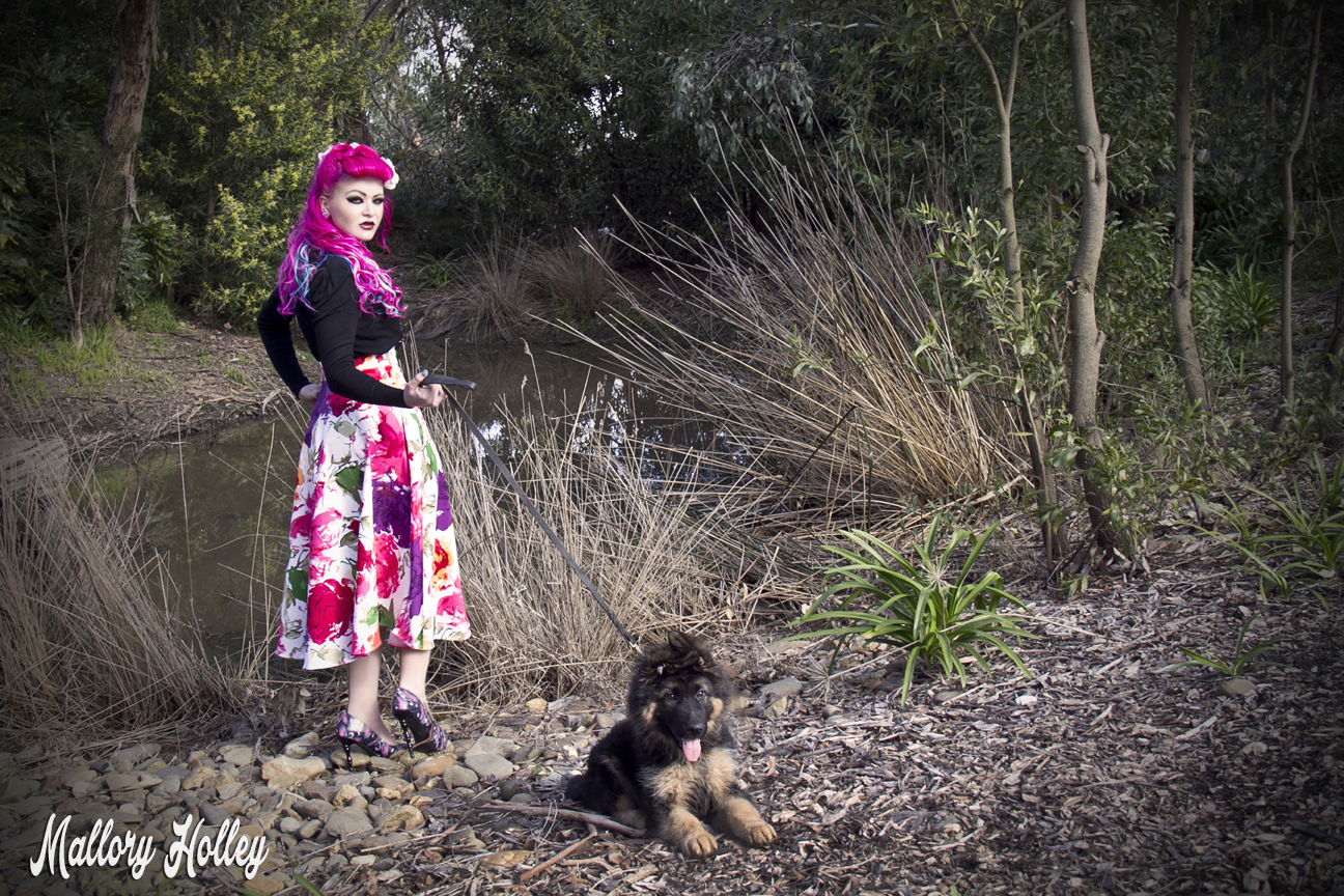 Printed pinup skirt by Dress Me Gorgeous and German Shepherd Puppy_0346