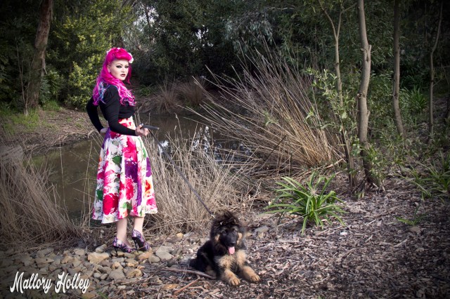 Printed pinup skirt by Dress Me Gorgeous and German Shepherd Puppy_0346