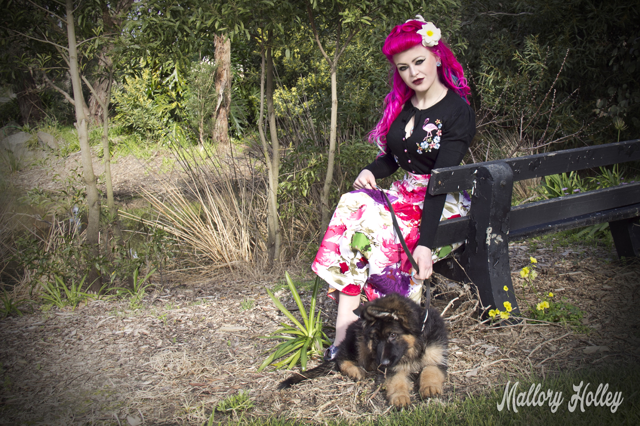Printed pinup skirt by Dress Me Gorgeous and German Shepherd Puppy_0402