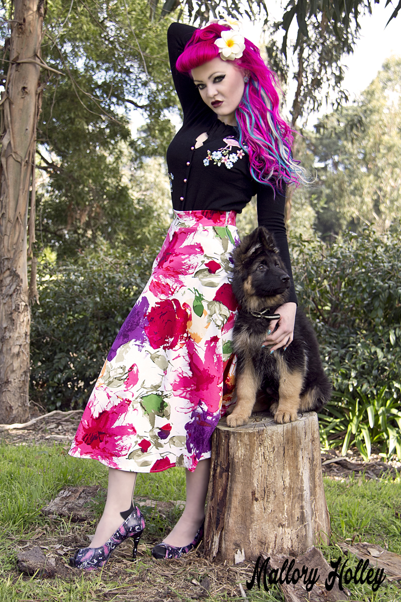 Printed pinup skirt by Dress Me Gorgeous and German Shepherd Puppy_0468