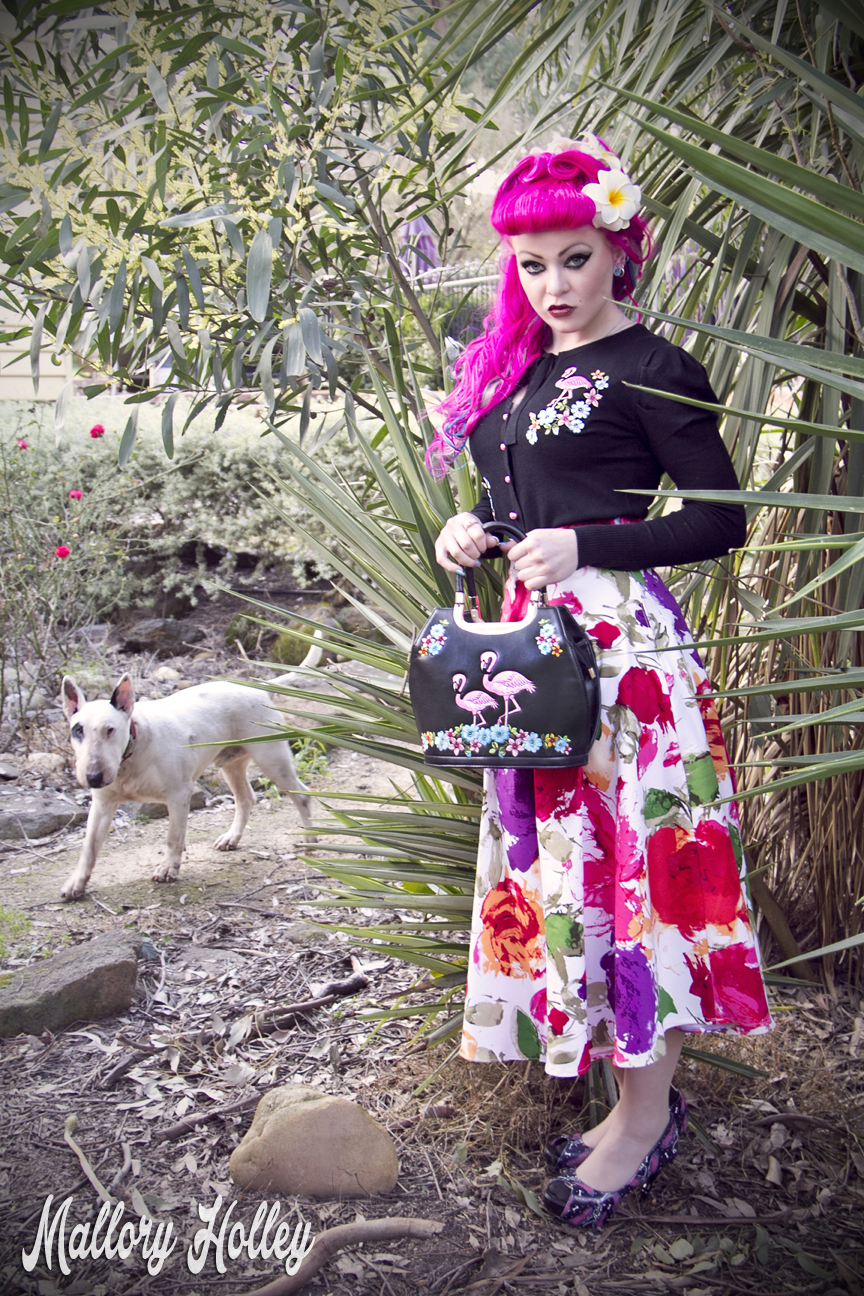 I got photobombed by my handsome bull terrior, Tank.  He heard that there were bones on my shoes.  