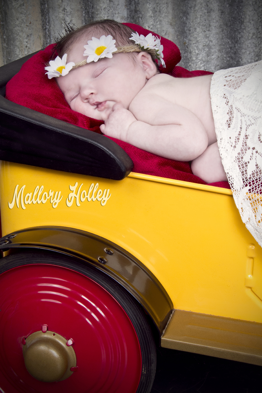 Mallory Holley Studios_02_WebRes