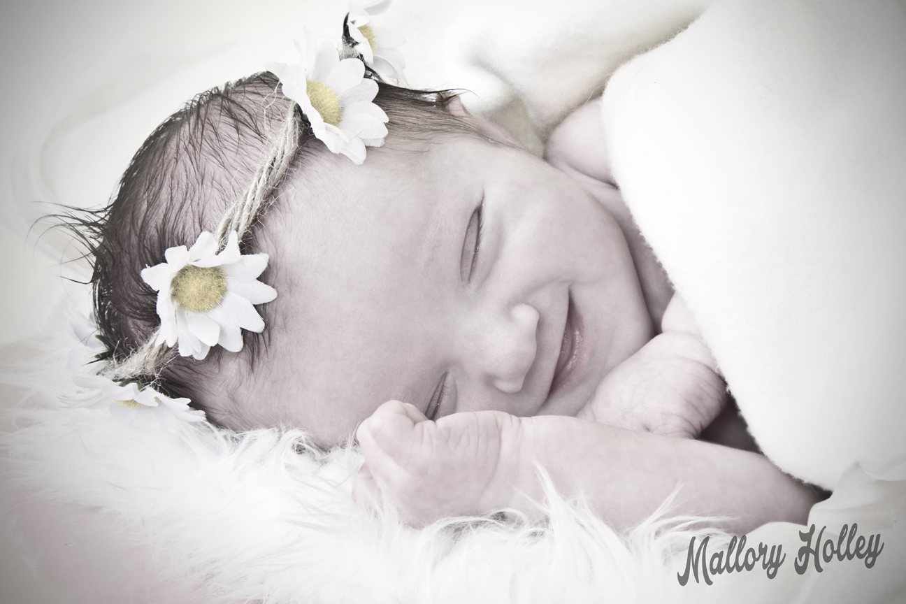 Mallory Holley Studios_11_WebRes