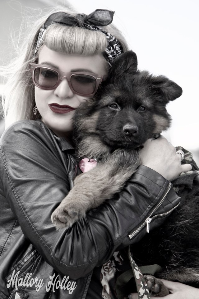 cuddles-with-cadillac-my-german-shepherd-puppy