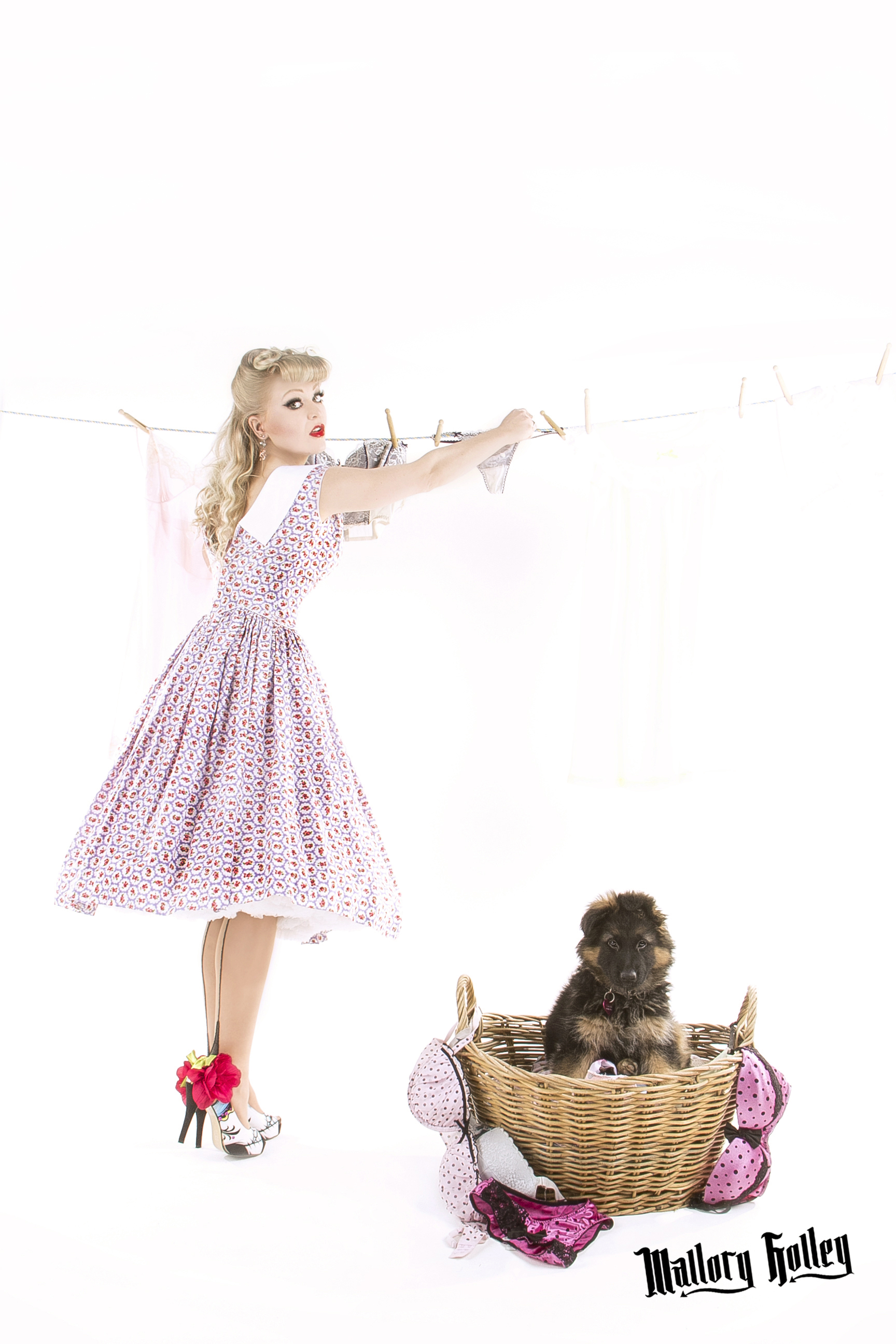 Pinup, Puppy & Washing Line